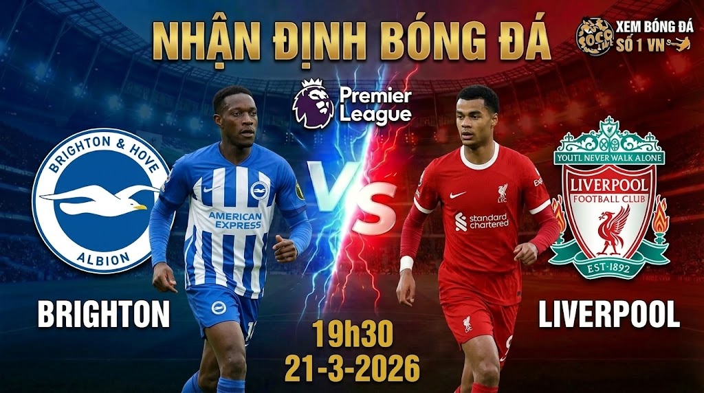 brighton-vs-liverpool
